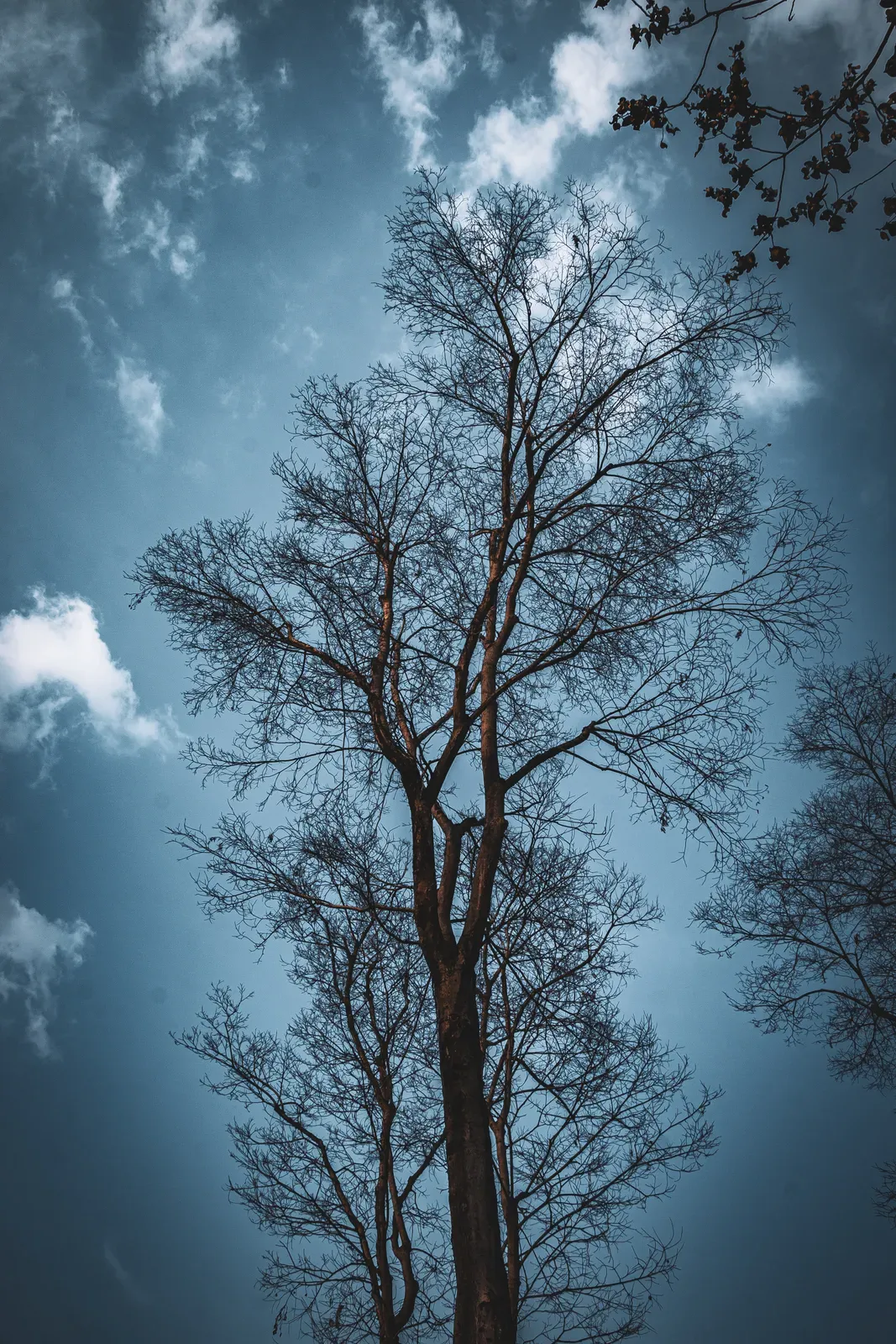 Photograph by MD Tanvir Islam